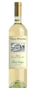 Villa Puccini 